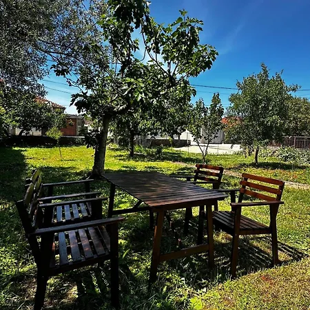 Lego's Garden House 扎达尔