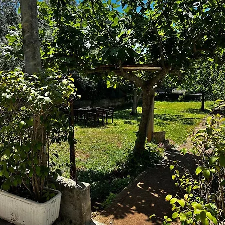 公寓 Lego's Garden House 扎达尔